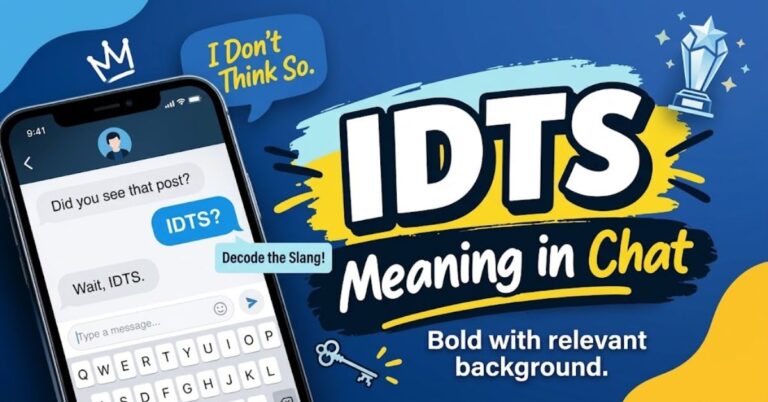IDTS Meaning in Chat